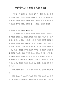 顶岗个人实习总结【范例5篇】