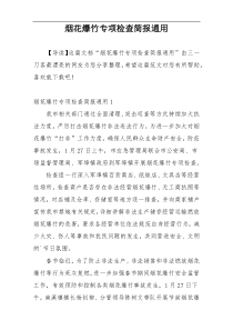 烟花爆竹专项检查简报通用