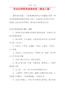 劳动纪律管理规章制度（精选5篇）