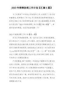 2023年销售助理工作计划【汇编5篇】