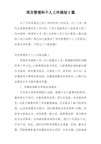 项目管理科个人工作规划3篇
