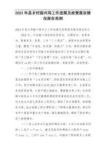 2023年县乡村振兴局工作进展及政策落实情况报告范例