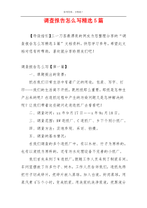 调查报告怎么写精选5篇