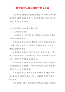 对乡镇书记镇长的批评意见5篇