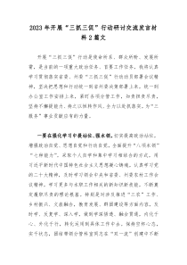 2023年开展“三抓三促”行动研讨交流发言材料2篇文