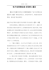 电子试用期总结【范例4篇】