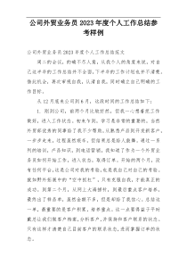 公司外贸业务员2023年度个人工作总结参考样例