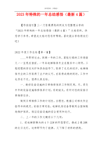2023年特殊的一年总结感悟（最新4篇）