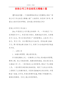 担保公司工作总结范文精编3篇