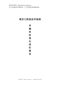 卓越的标准化团队建设