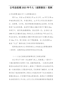 公司总经理2023年个人（述职报告）范例