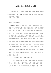乡镇文化站整改报告4篇