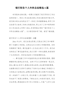 银行财务个人年终总结精选4篇