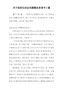 关于组织生活会问题整改承诺书3篇