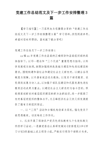 党建工作总结范文及下一步工作安排整理3篇