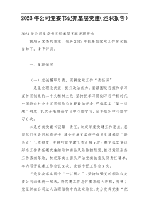 2023年公司党委书记抓基层党建（述职报告）