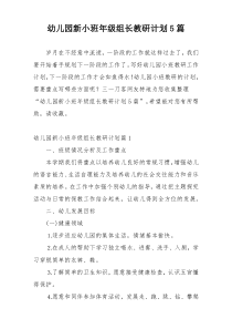 幼儿园新小班年级组长教研计划5篇