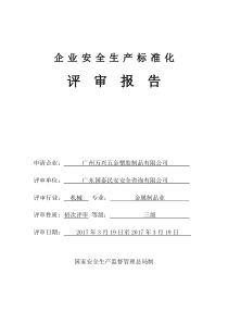 安全标准化评审报告(专家推荐版本)