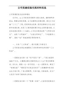 公司党建经验交流材料优选