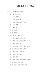 项目融资计划书范本