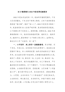 XX乡镇副镇长2022年度述职述廉报告