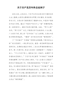 关于共产党员年终总结例子