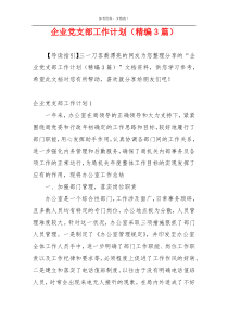 企业党支部工作计划（精编3篇）