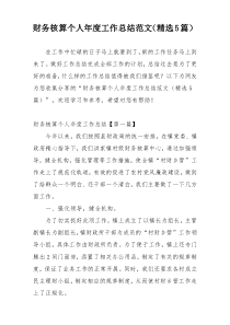 财务核算个人年度工作总结范文（精选5篇）