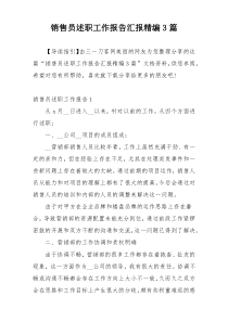 销售员述职工作报告汇报精编3篇