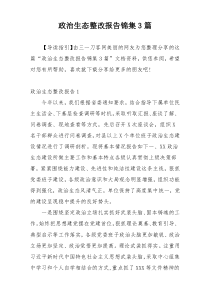 政治生态整改报告锦集3篇