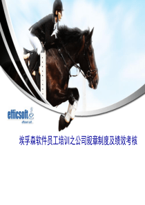 埃孚森(物流)软件员工绩效考核及管理规章制度（PPT29页）（PPT39页）