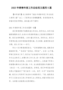 2023年销售年度工作总结范文通用5篇