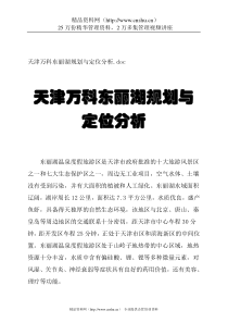 天津万科东丽湖项目规划与定位分析
