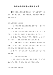 公司的各项规章制度版本5篇