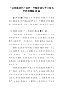 “抓党建促乡村振兴”专题培训心得体会范文范例精编20篇