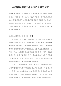 信用社试用期工作总结范文通用4篇