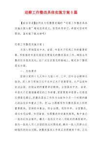 巡察工作整改具体实施方案5篇