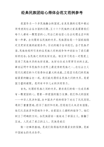 经典民族团结心得体会范文范例参考