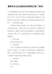 暑假学生社会实践活动的策划方案（实例）