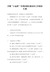 开展“小金库”专项治理自查自纠工作报告汇报