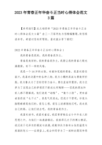 2023年青春正年华奋斗正当时心得体会范文3篇