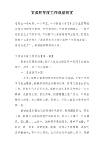 文员的年度工作总结范文
