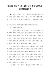 查作风,问初心,着力解决宗旨意识方面的突出问题范例3篇