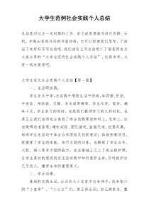大学生范例社会实践个人总结
