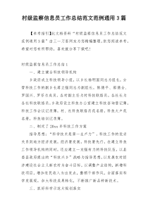 村级监察信息员工作总结范文范例通用3篇