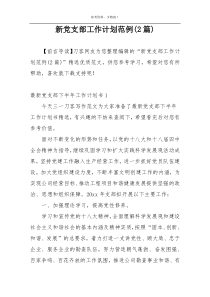 新党支部工作计划范例(2篇)