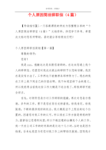 个人原因简洁辞职信（4篇）