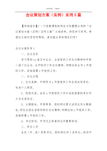 会议策划方案（实例）实用5篇
