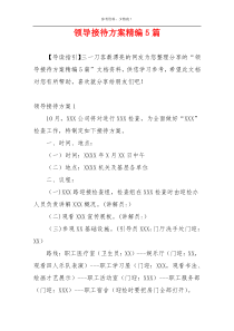 领导接待方案精编5篇