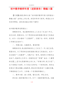 初中数学教师年度（述职报告）精编3篇